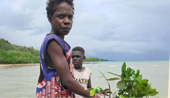 Mangrove restoration on the Carteret Islands