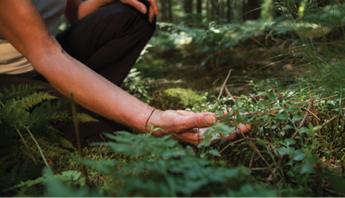 Eco-Therapy: Healing for Climate Action Workshop